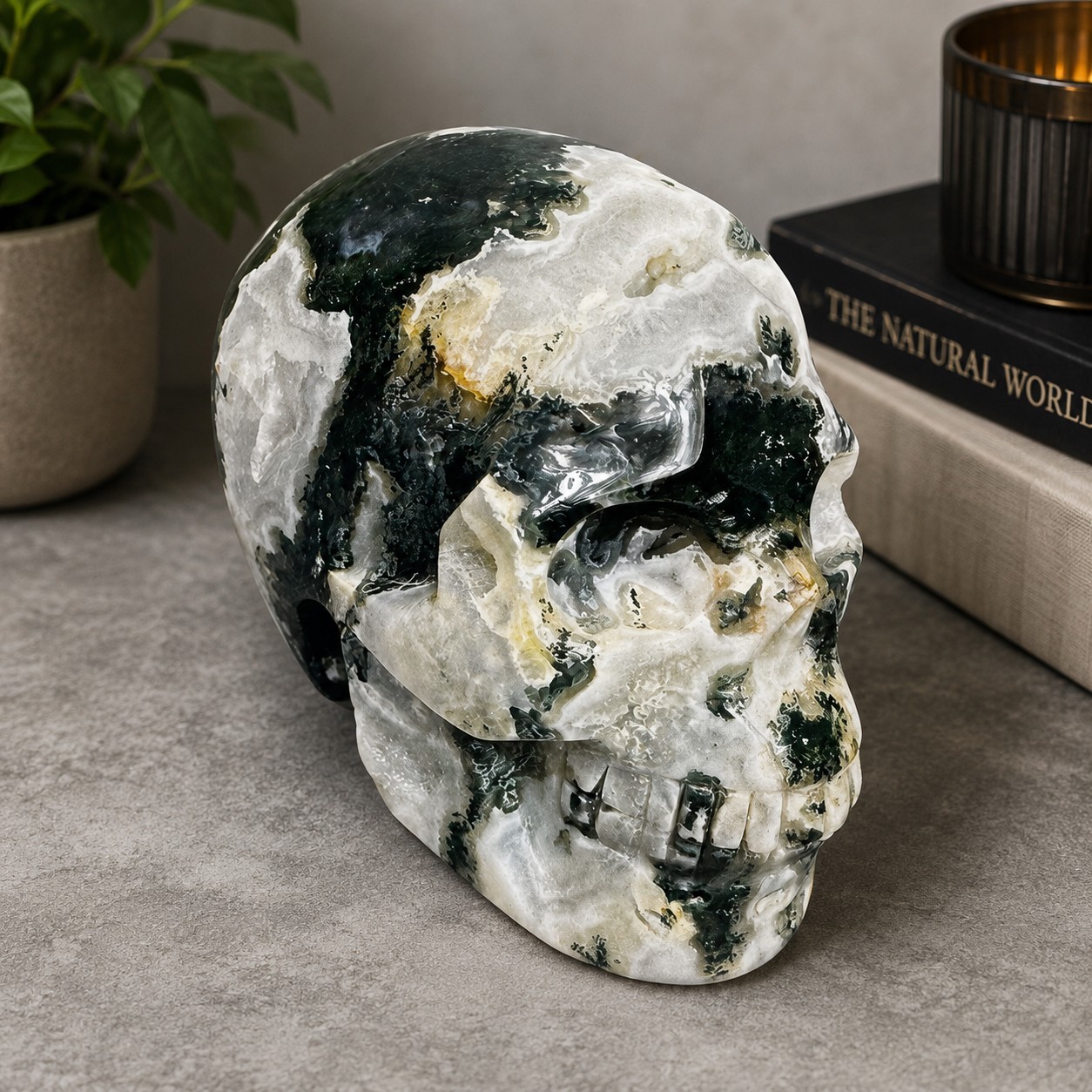 Green Moss Agate Geode Crystal Skull 4.5” Carving With Natural Druzy Pocket 1.15