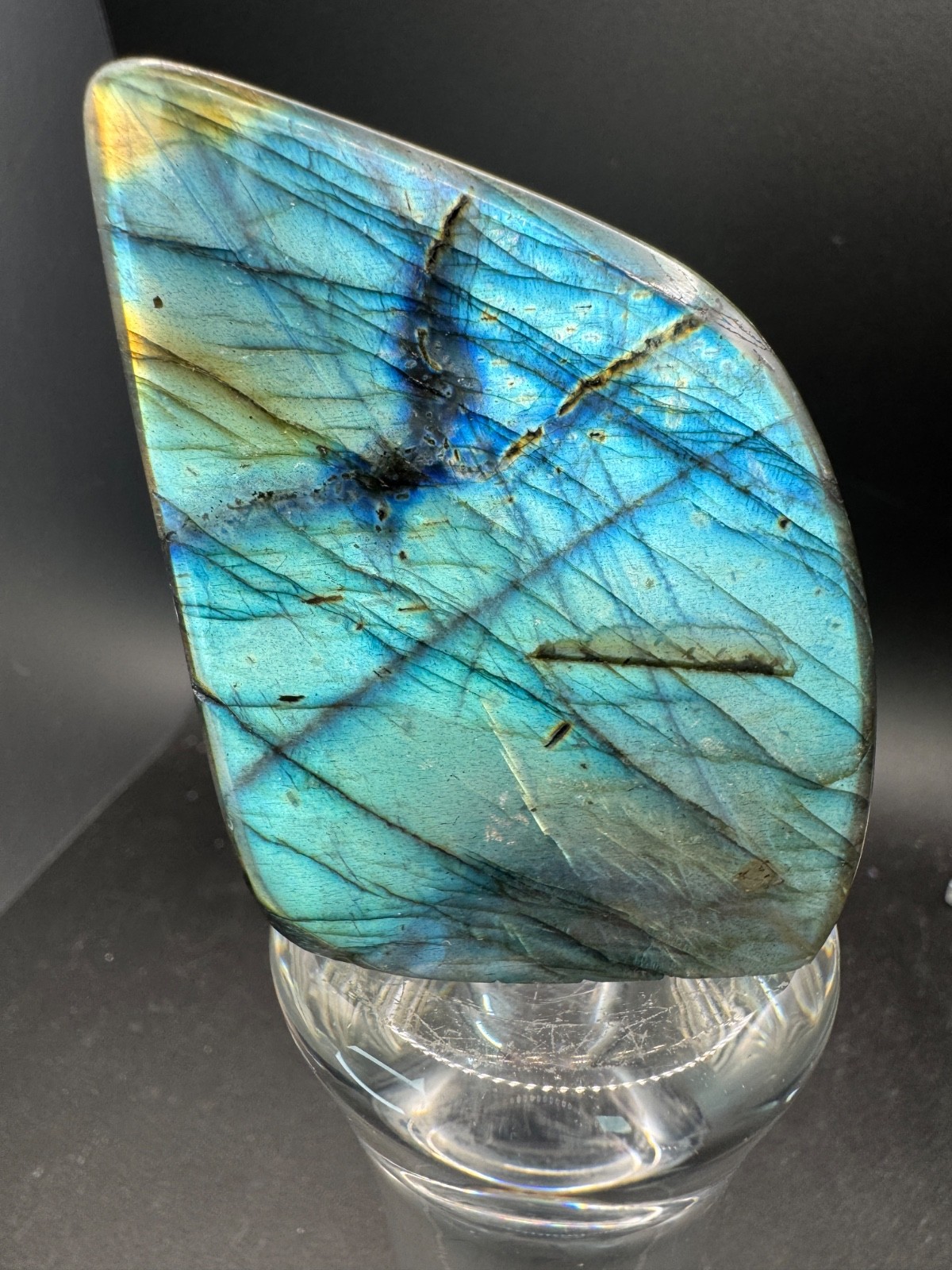 6480 Blue and Gold Flash Labradorite Free Form Madagascar 184g