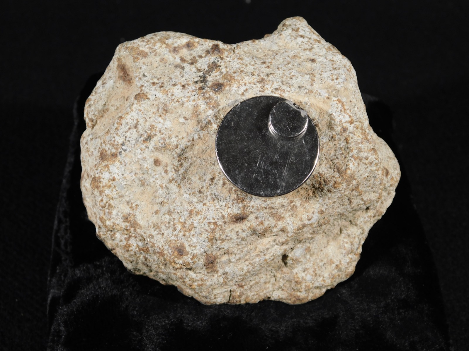 Larger! CLASSIFIED NWA 8245 METEORITE with Dark Fusion Crust Erfoud, Morocco 471