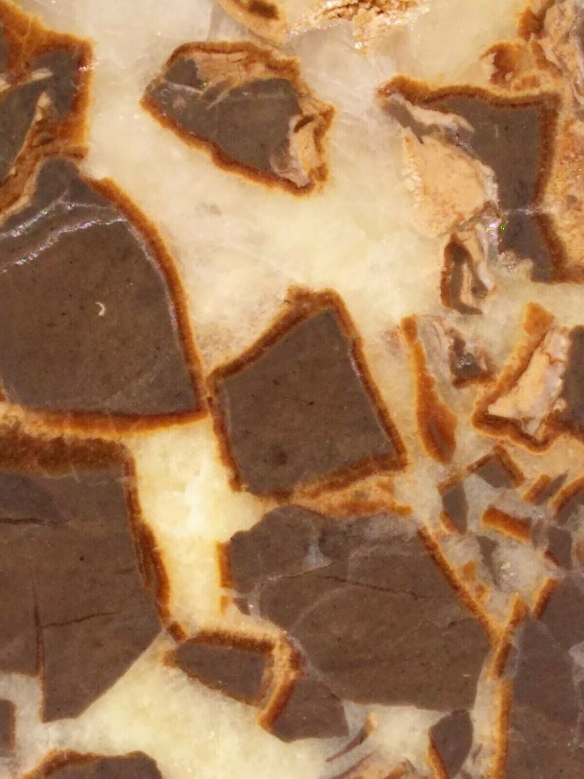 FACE CUT SEPTARIAN NODULE YELLOW CALCITE BRECCIA WHITE CRYSTAL UTAH 3LBS 9.1OZ!