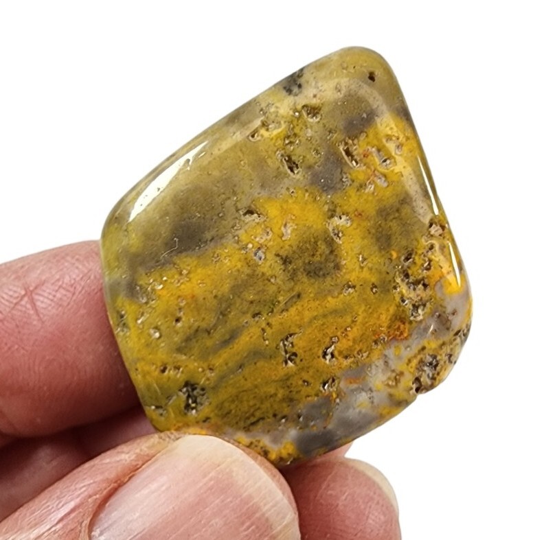 Jasper Bumble Bee Polished Slice Indonesia 8.4 grams
