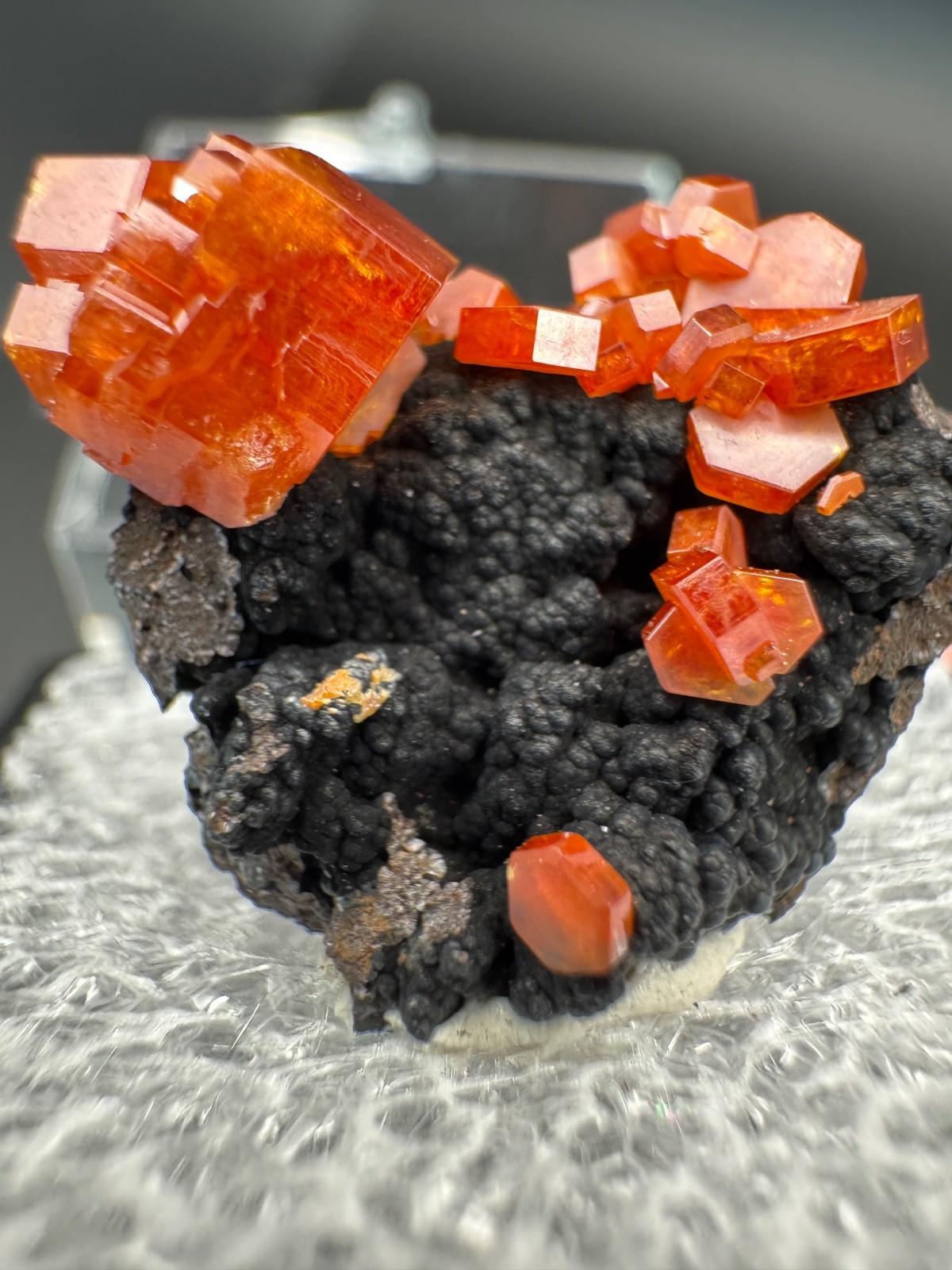 6786 Red Vanadinite on RARE Black Hematite Matrix in Perky Morocco