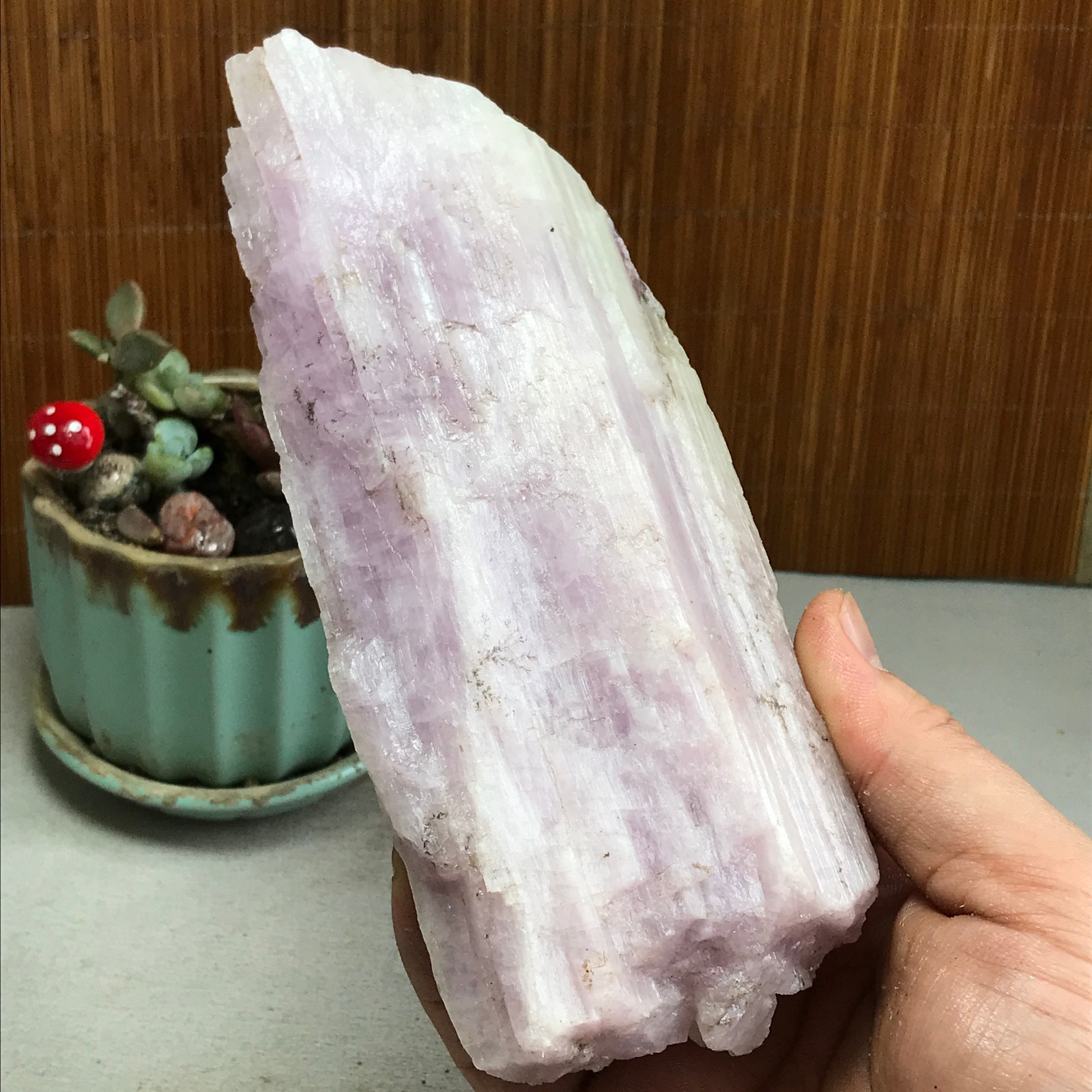 170-78-40mm NATURAL ROUGH KUNZITE PINK SPODUMENE CRYSTALS 830g A4613