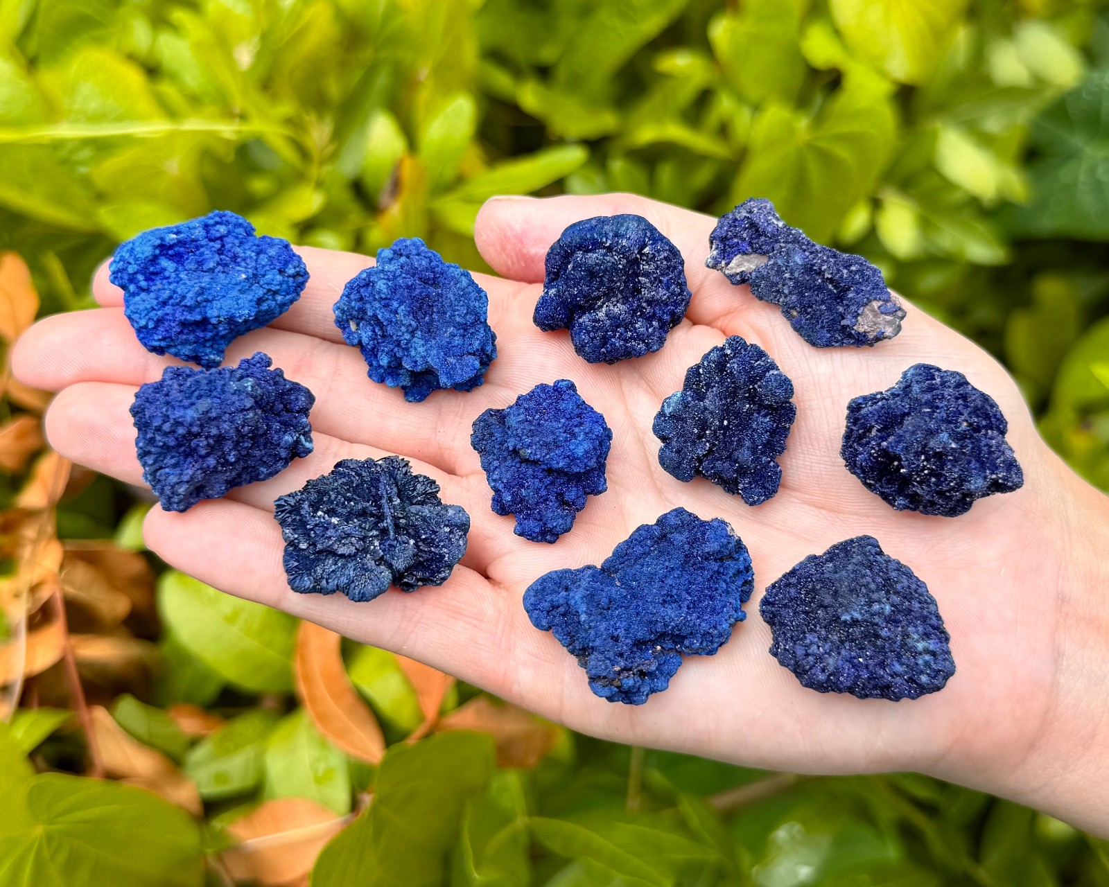 Vibrant Blue Azurite Crystal Clusters – ‘AAA’ Grade Natural Raw Azurite Minerals