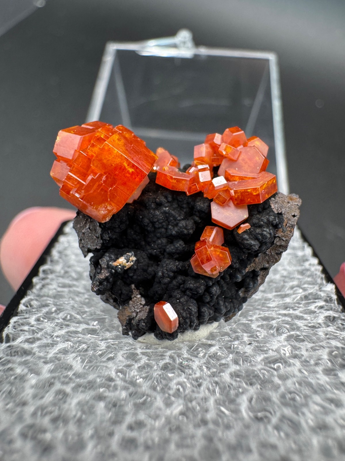6786 Red Vanadinite on RARE Black Hematite Matrix in Perky Morocco