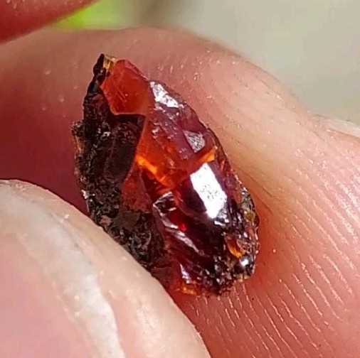 ULTRA RARE GEM RHODOCHROSITE ON MATRIX N’Chwaning I Mine, KMF, South Africa