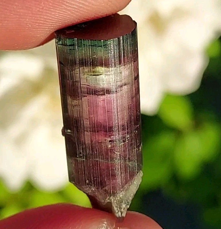 ULTRA RARE BURKHARD’S POCKET TOURMALINE NO REPAIRS PEDERNEIRA MINE BRAZIL