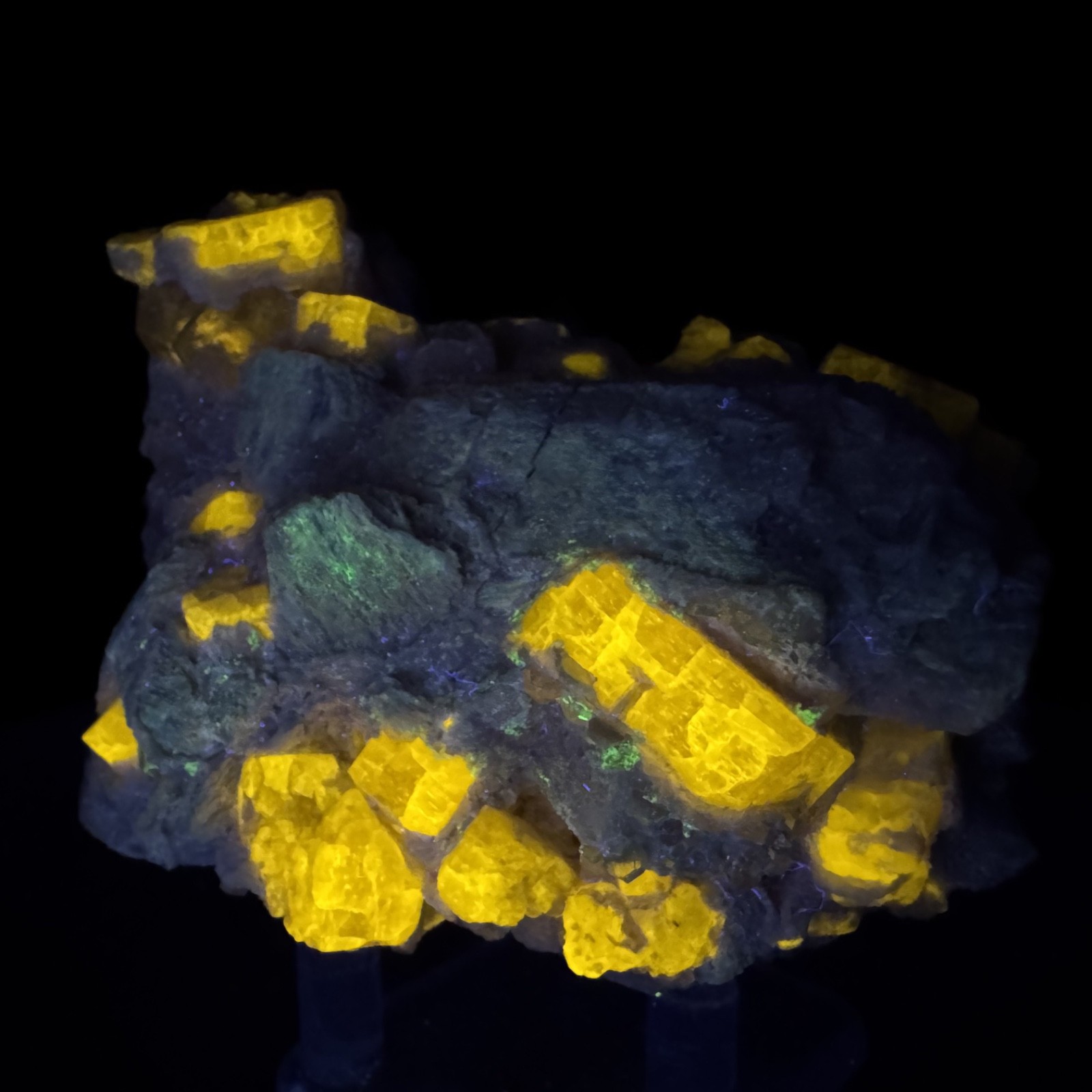 Fine Fluorescent Fluorapatite Crystals on Microcline: Himalaya mine, California