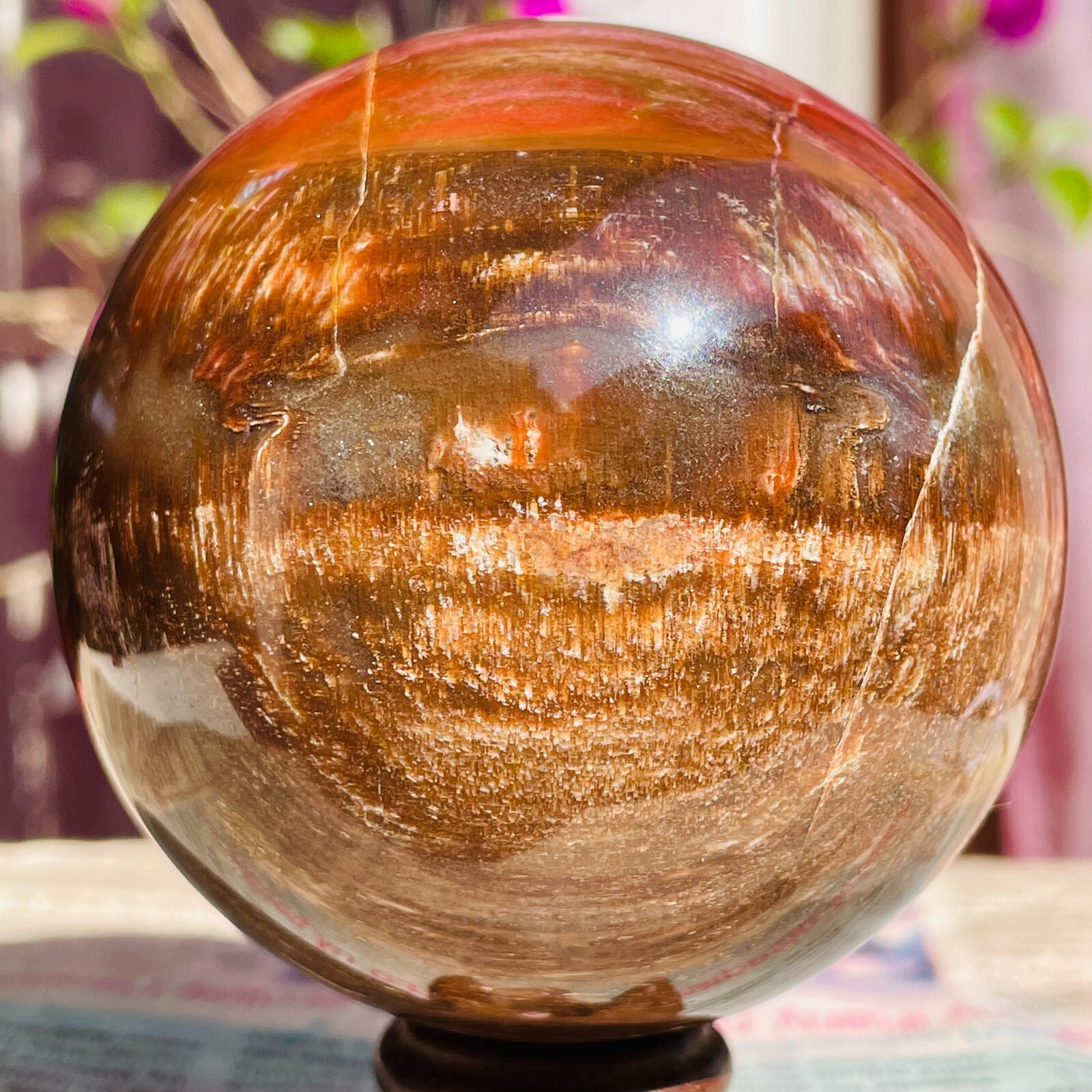640g Natural Red Petrified Wood Crystal Ball Fossil Polished Sphere Specimen