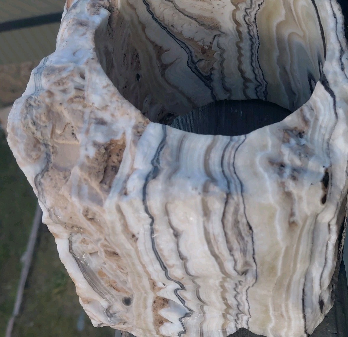 13.25Lb Zebra Calcite W CORED 4″ “Window” Display UV+ Bands Wrap Unique Décor