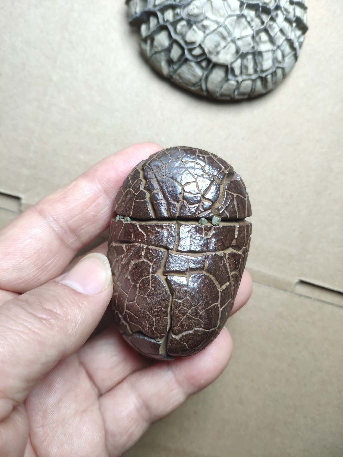 182g beautiful tortoise back pattern stone Turtle grain stone Landscape stone