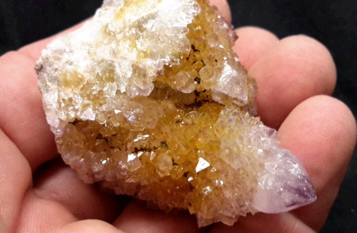 2″ CACTUS QUARTZ AMETHYST AMETRINE from Mpumalanga, South Africa