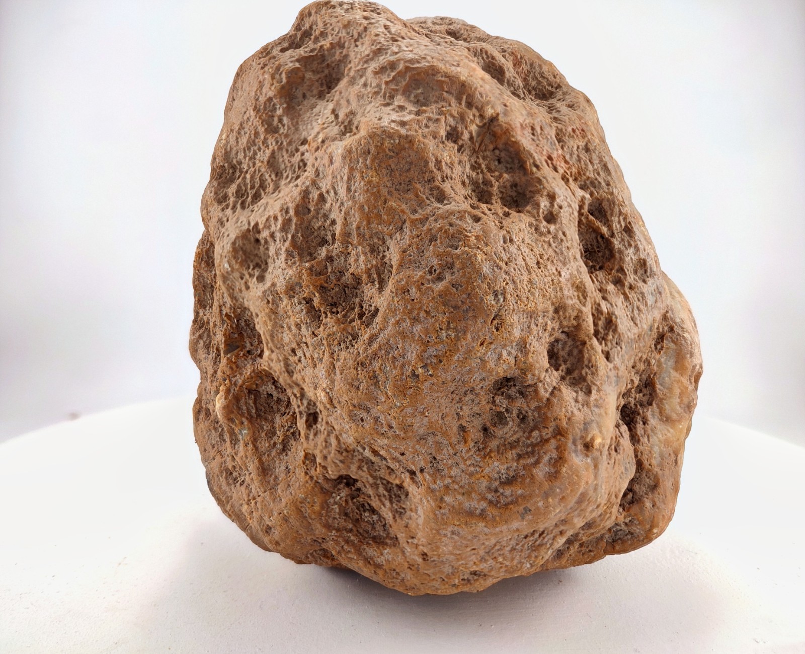 8″ Unopened Geode Nodule Round Bumpy Exterior Kentucky Quartz Crystal 8.4 LB