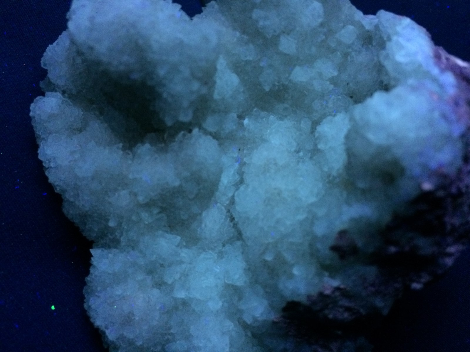 KB: BRIGHT CABINET SW & LW FL. BLUE/WHITE COLEMANITE XLS., KERN CO., CALIFORNIA
