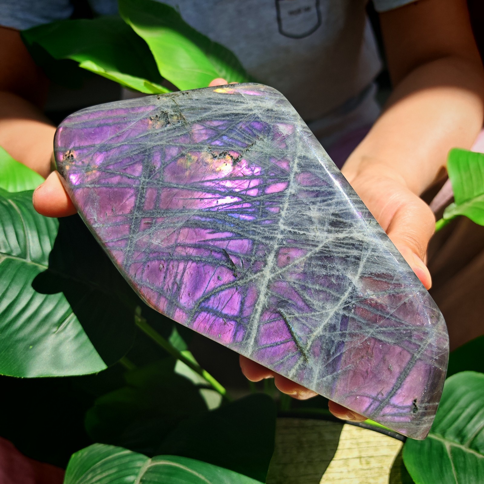 2.75LB TOP Natural Purple light labradorite quartz spectrolite crystal