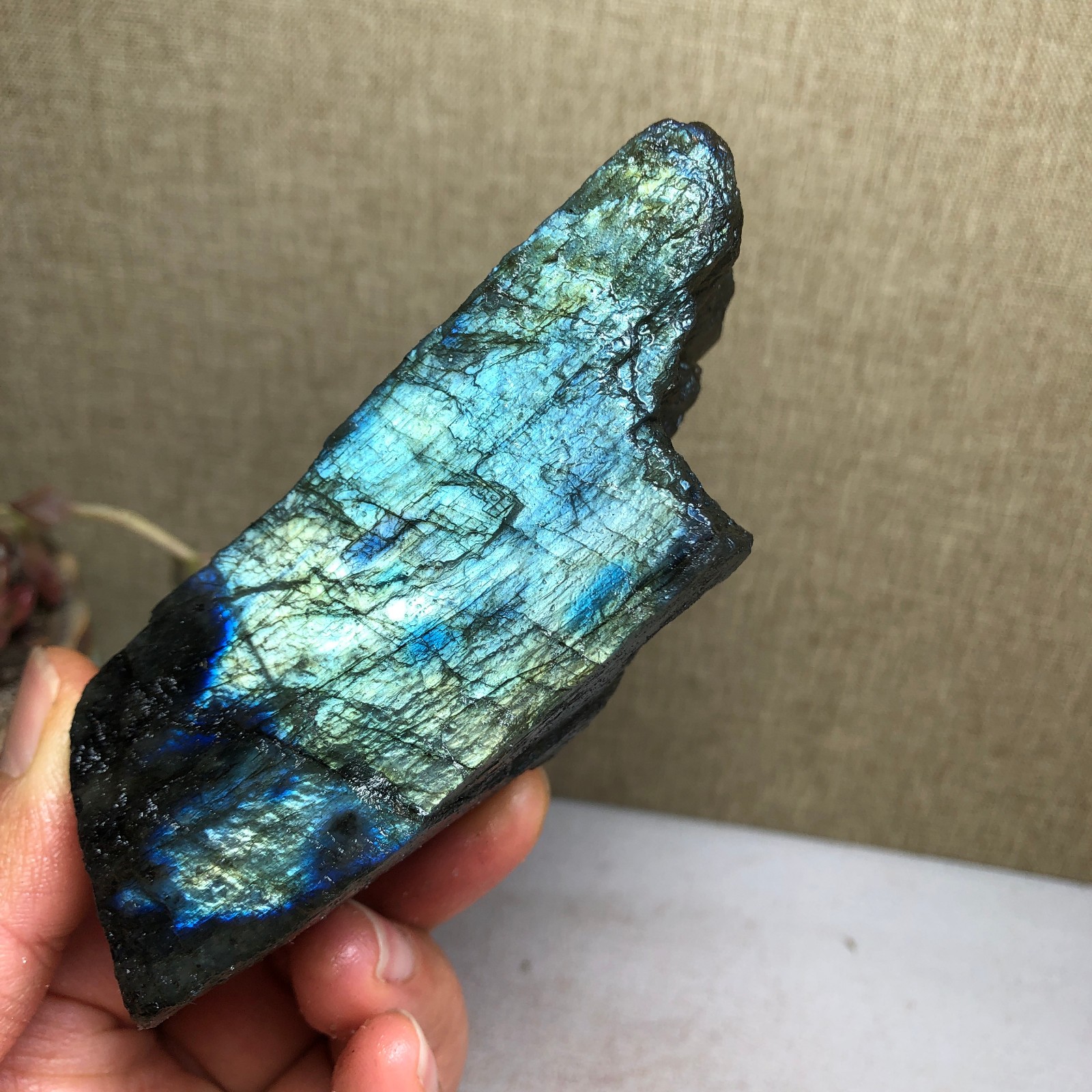 92-34-36mm Natural Labradorite Crystal gemstone Rough Mineral Specimen A4418