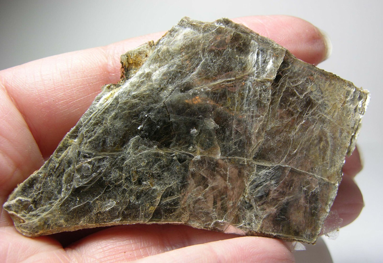#7 Coastville Pa USA 2 15/16 in. 100% Natural Raw Silver Mica Specimen 75.00mm