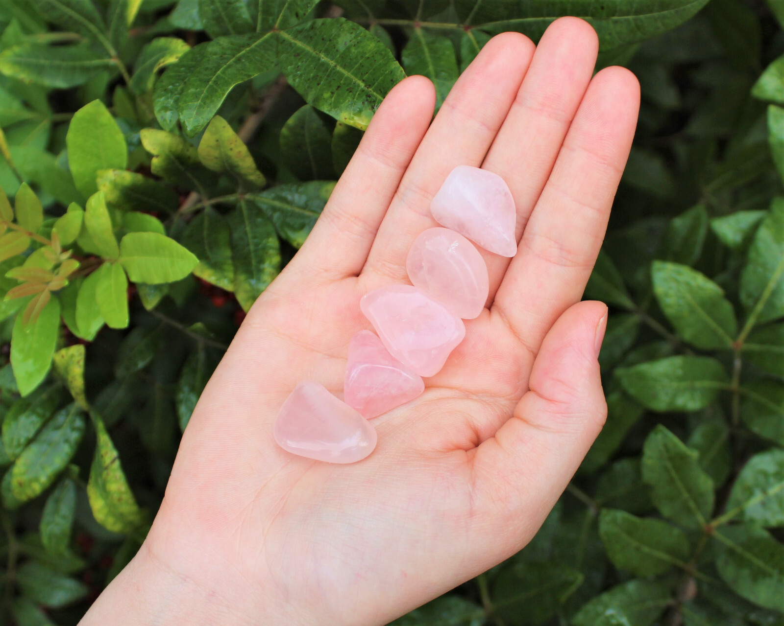 1/4 lb Bulk Lot Rose Quartz Tumbled Stone Crystal Healing Love Stone 4 oz