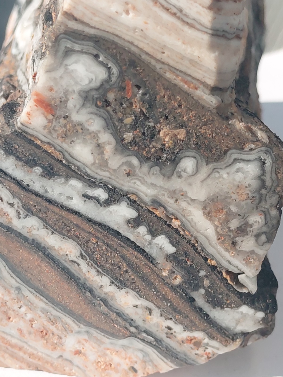 Zebra Calcite Self-Standing Display 1 1/4 Lb Dendritic Psychedelic Crisp Bands