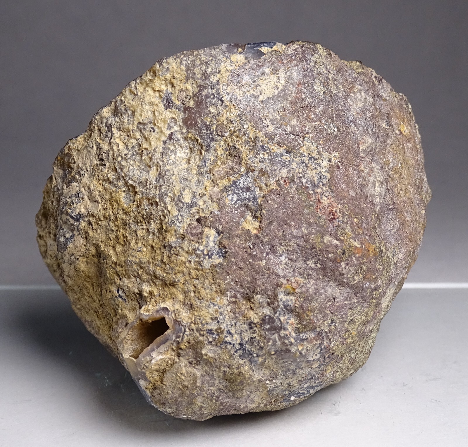 Coyamito Agate Half Nodule Mexico