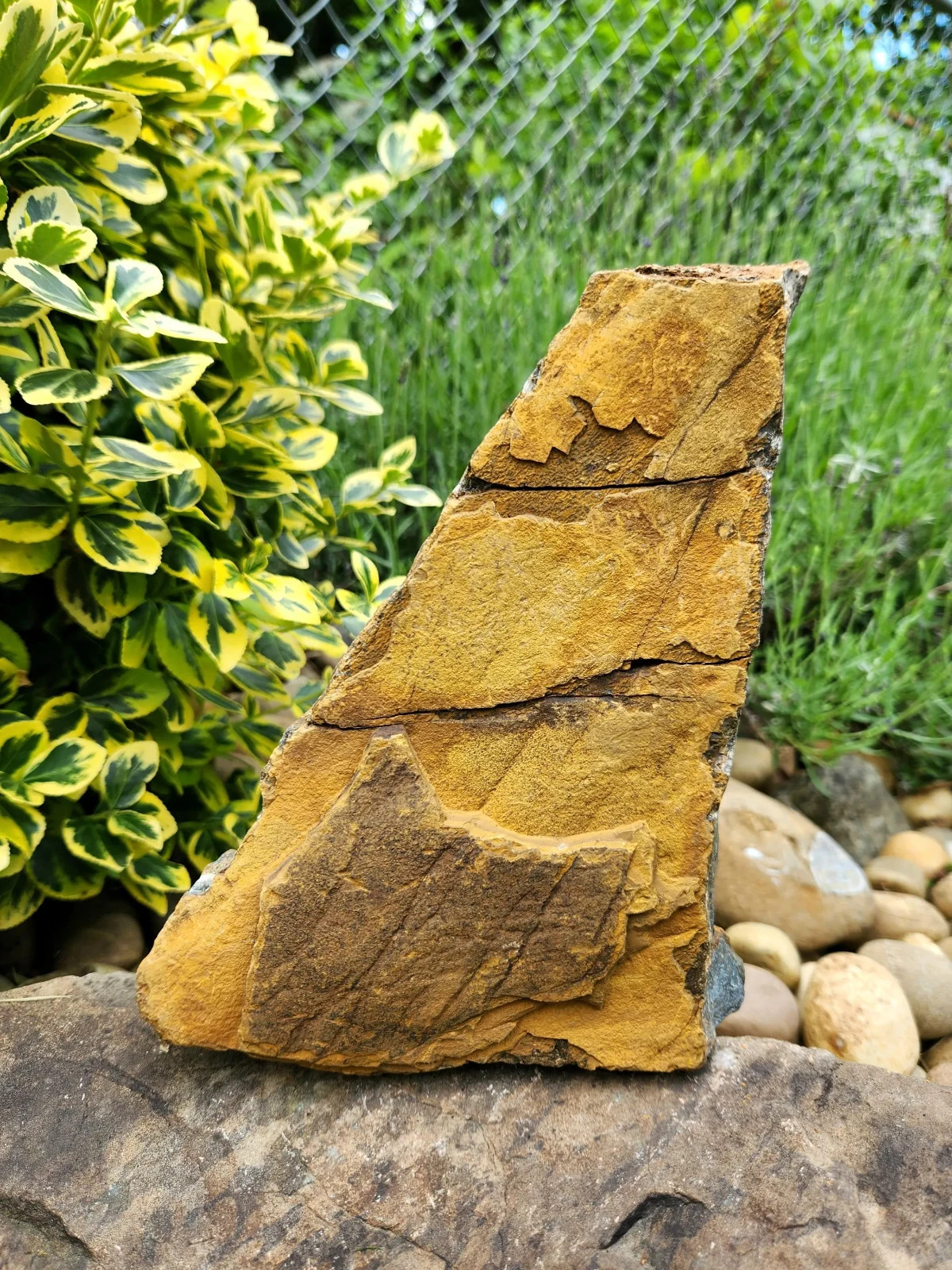 5 lb 11 oz Rough Blue Tiger’s Eye Stone. Ideal for Lapidary. Luminescent