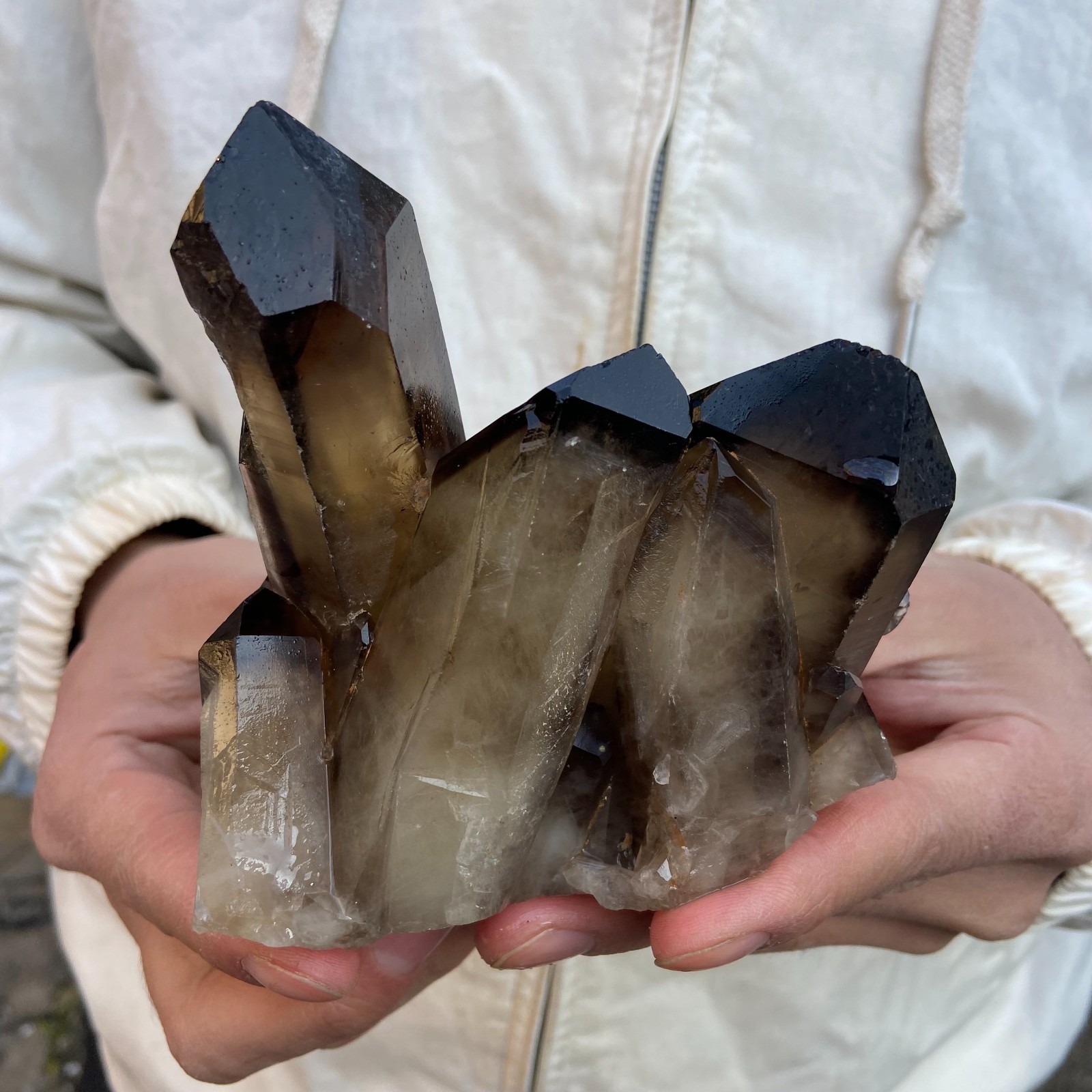 1.8LB Natural Smoky Black Quartz Cluster Crystal raw Specimen Healing