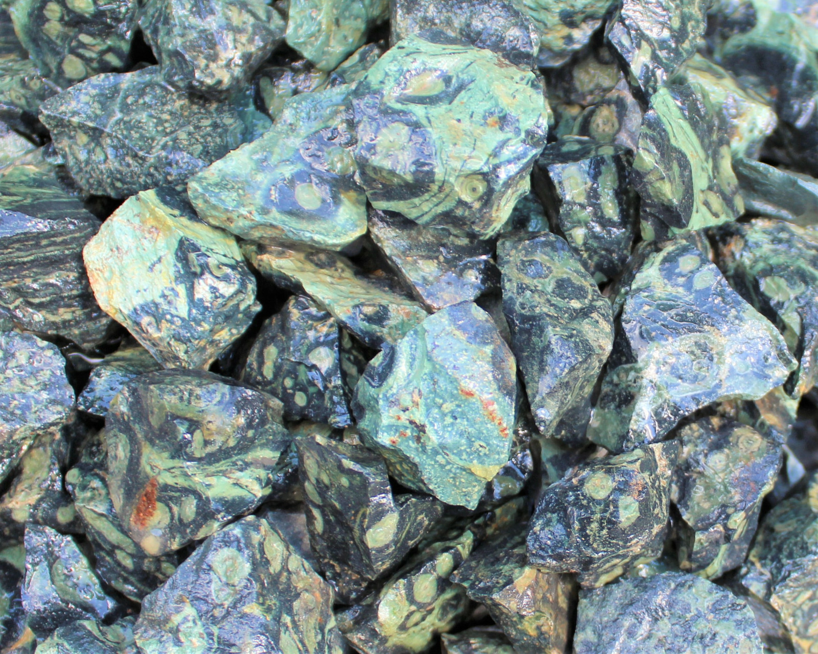 Kambaba Jasper Rough Natural Stones Bulk Wholesale Lots (Raw Crocodile Jasper)