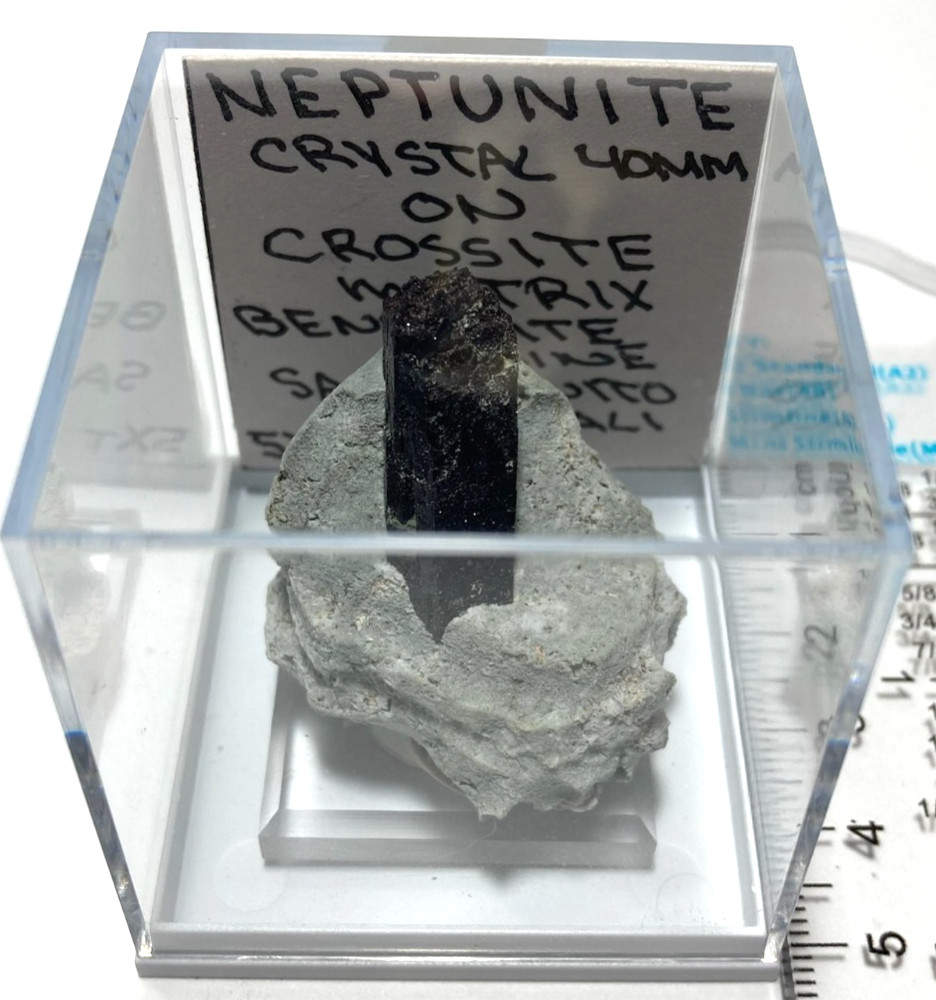 Stunning Neptunite 40mm crystal on Crossite matrix. San Benito California