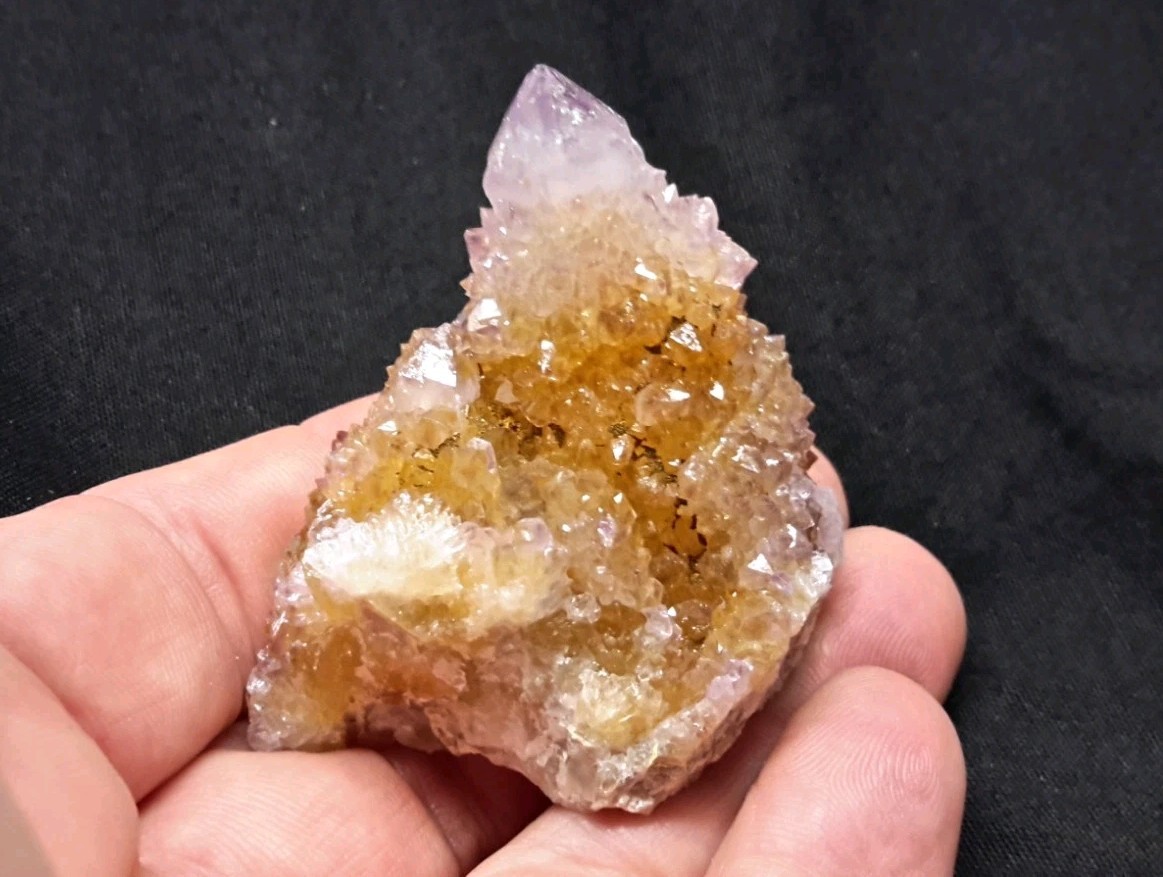 2″ CACTUS QUARTZ AMETHYST AMETRINE from Mpumalanga, South Africa