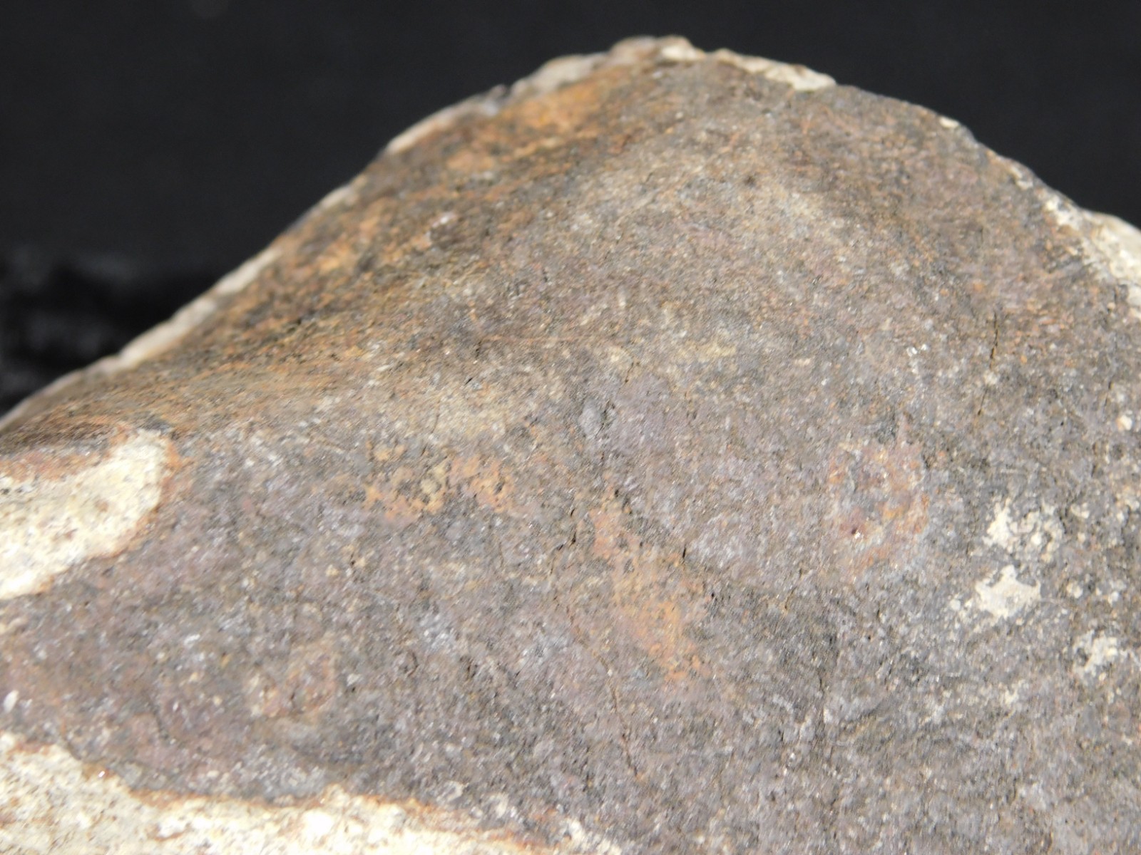 Larger! CLASSIFIED NWA 8245 METEORITE with Dark Fusion Crust Erfoud, Morocco 471