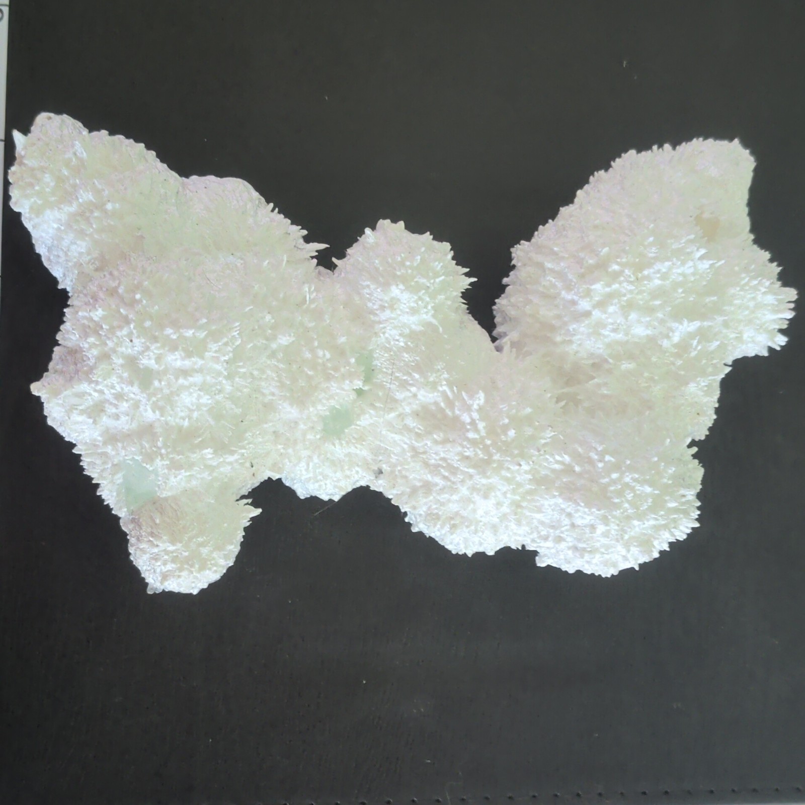 Aragonite Crystal Cluster Mineral Display 6 in Cave Calcite/Sugar Apophyllite