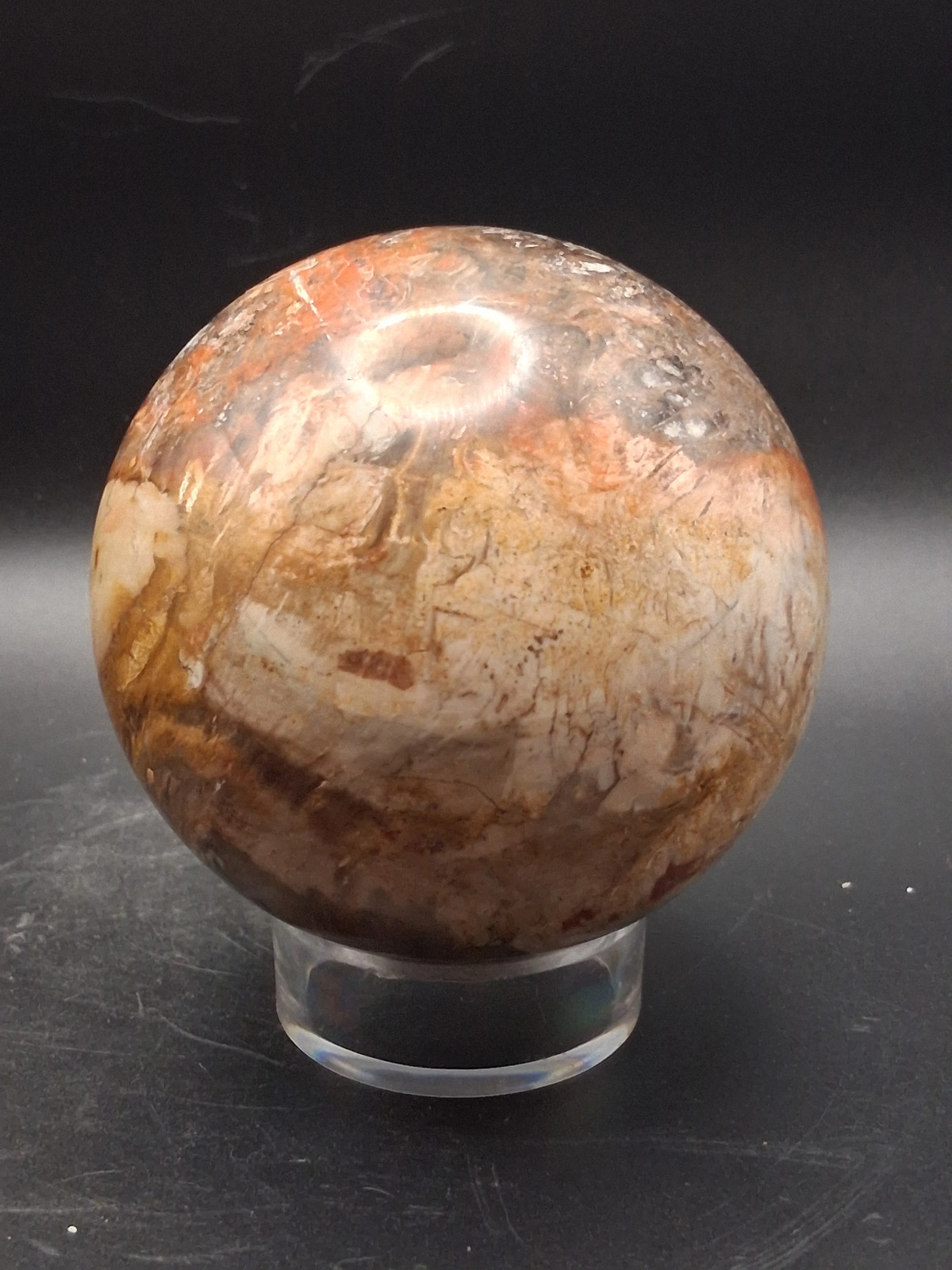 Large petrified wood sphere! 81mm, 3.1 inches, 1.8 pounds