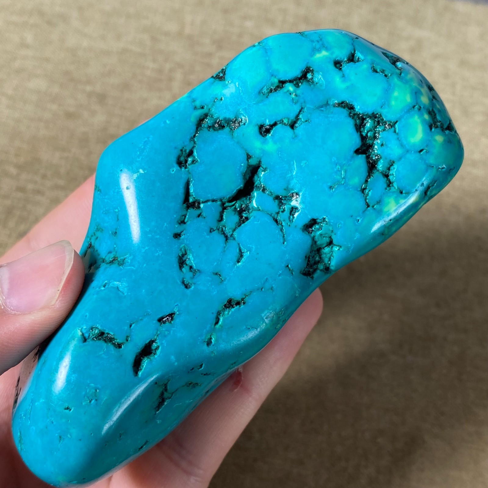 183g Beautiful Turquoise Nugget Rough specimen W381