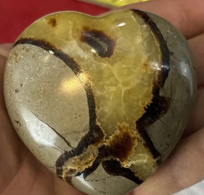 2 1/2 inch septarian nodule puffy heart