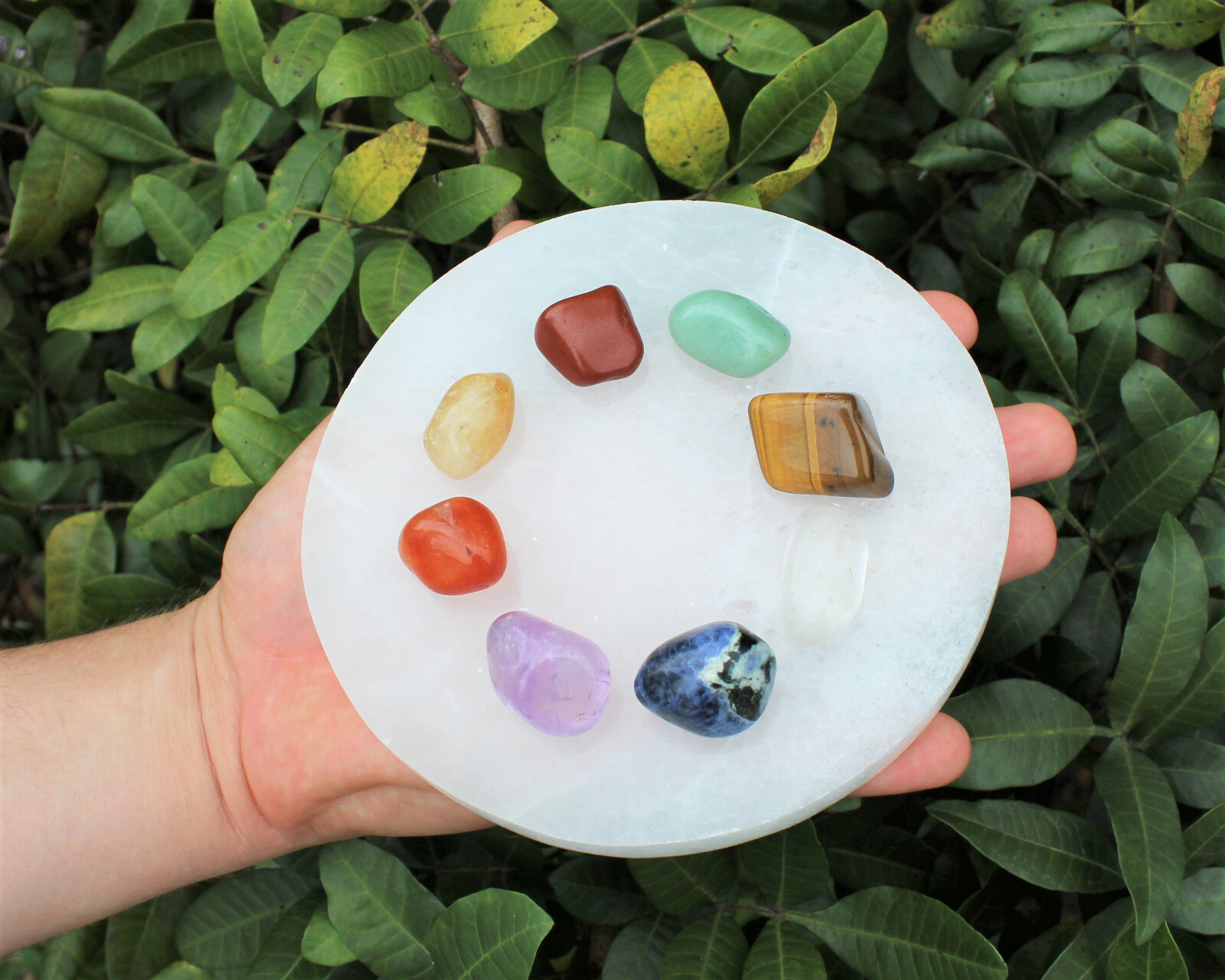 Polished Selenite Circle Charging Station 3″ 4″ or 6″ – Flat Round Crystal Plate