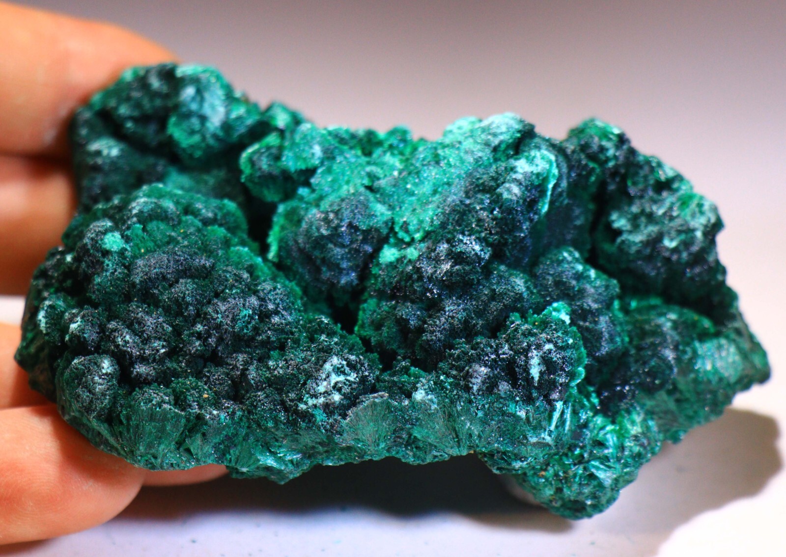3.75″ 9.4 oz Stunning Fibrous Malachite Cave/Cluster, Congo! M547
