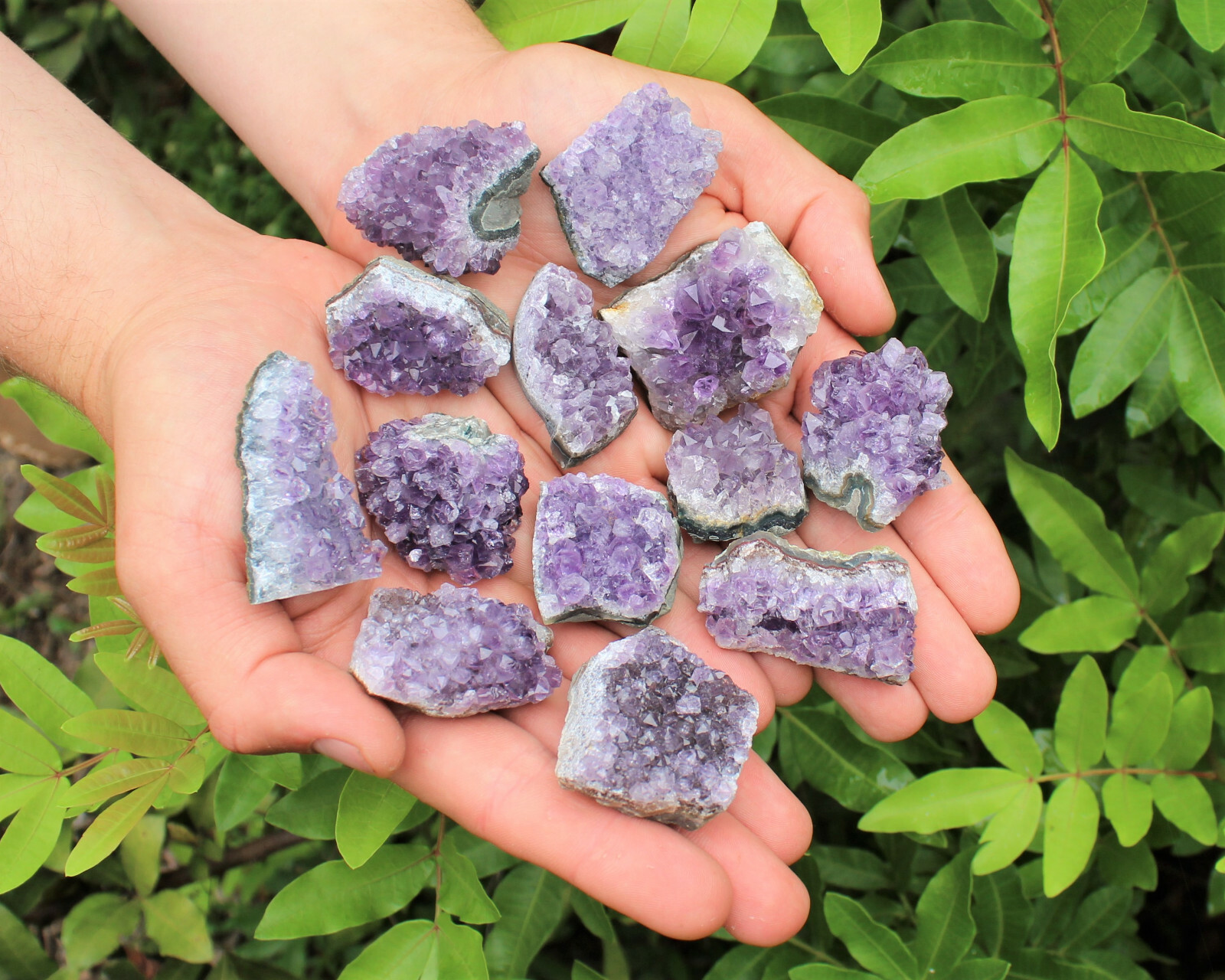 Bulk 1/2 lb Lot Natural Amethyst Crystal Clusters Geodes Gemstone (2 – 3 Pieces)