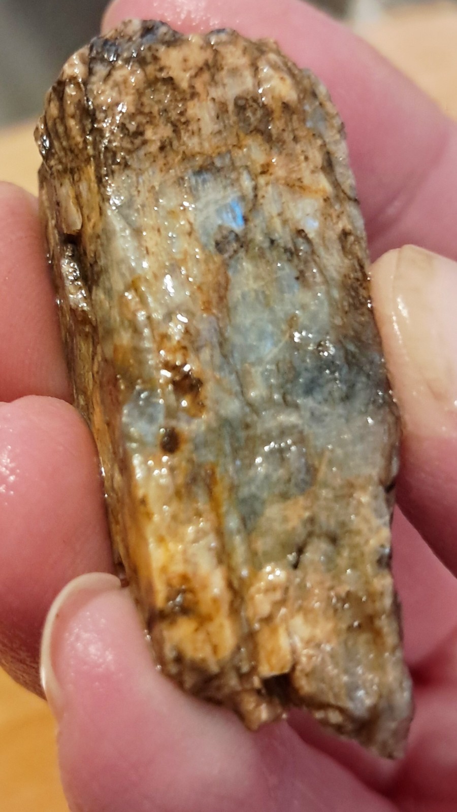 New RARE Raw Wisconsin Moonstone Ethically Hand Mined Lot! Lot #23 1 LB 8oz+