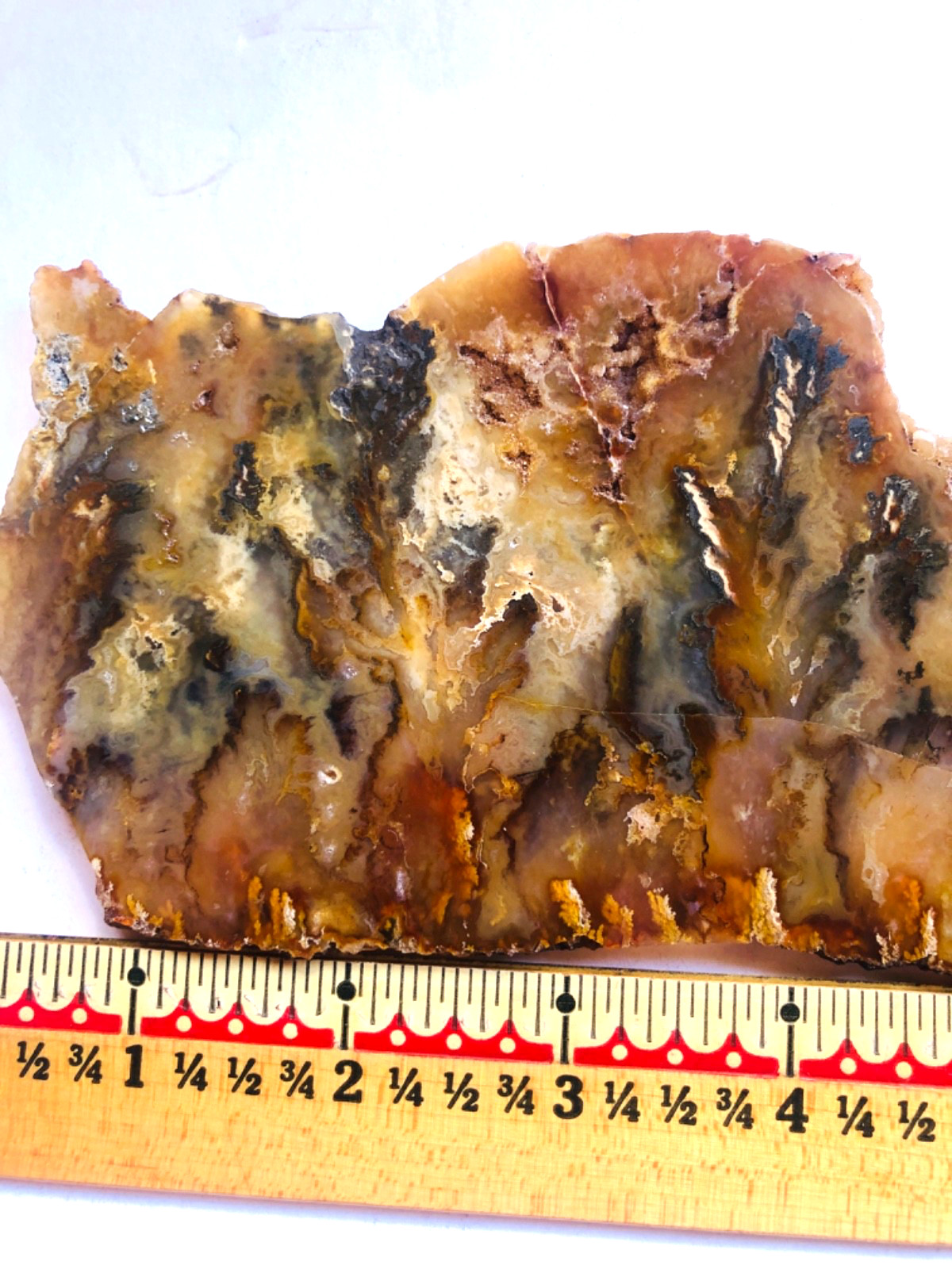 Graveyard Plume Agate Museum Grade Collectors Slab Oregon 202 Grams