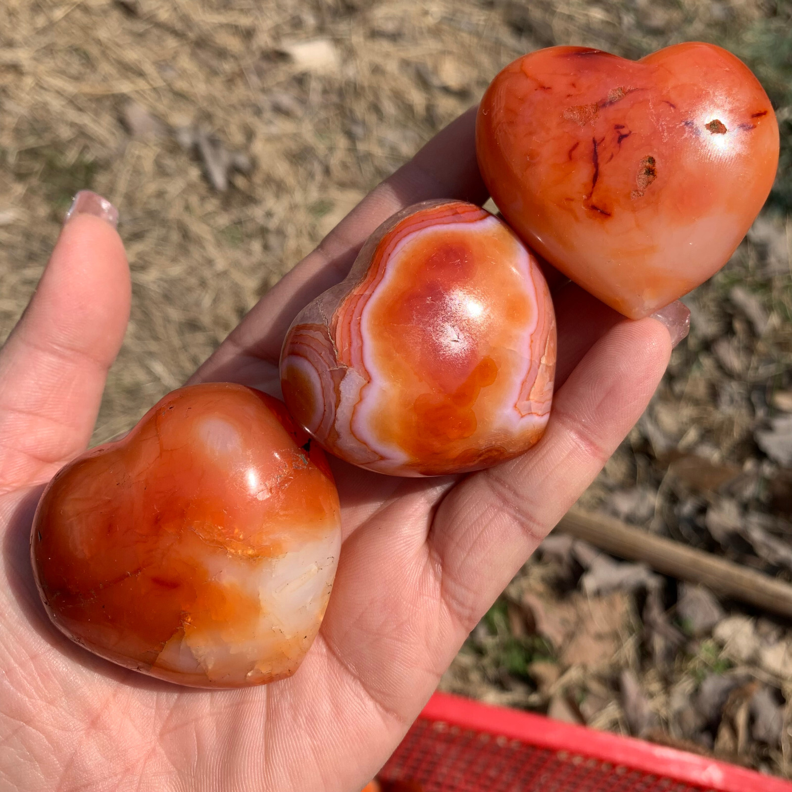 1LB natural carnelian heart quartz Mineral specimen crystal healing 7-8pcs