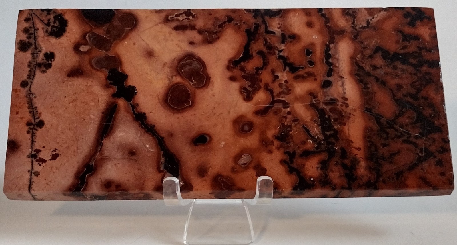 Large Picture Jasper Slab w/ Stand Red Orbicular Scenic Polished Stone Display