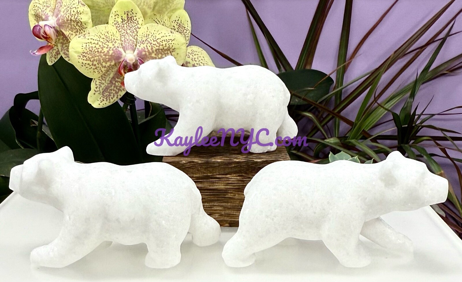 Wholesale Lot 3 Pcs Natural Snow Quartz Polar Bear Crystal Healing