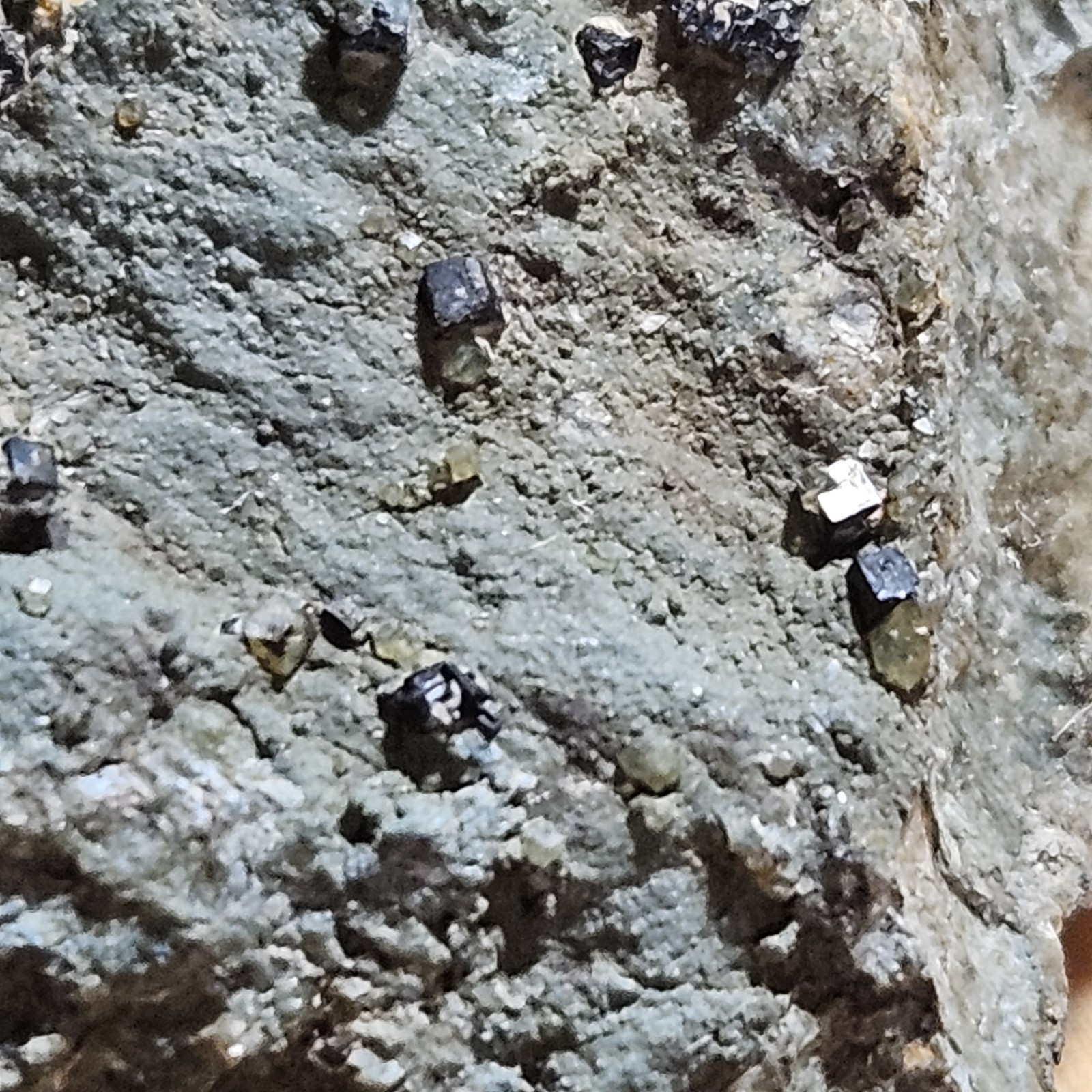 Cubic Magnetite Rare Form San Benito County California Mineral Specimen