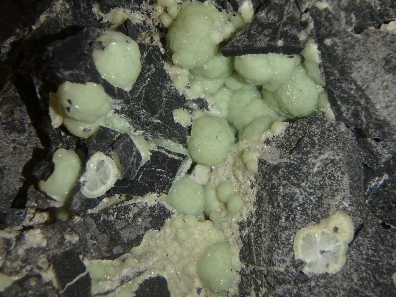 1 Lb 12 oz Wavellite in Matrix Montgomery County Arkansas 793 grams