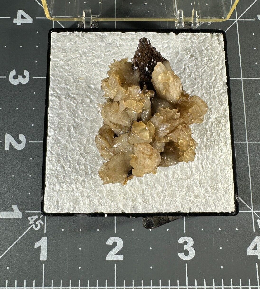➤ 1-7/8″ DOGTOOTH CALCITE CLUSTERS Pleasant Ridge Rensselaer Indiana VIDEO➤438
