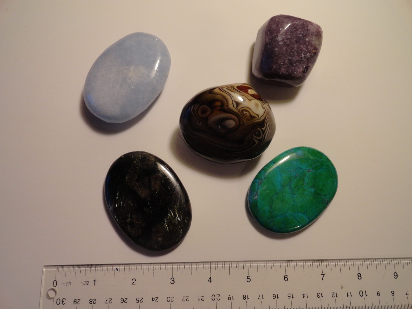 Polished Palm Stone lot