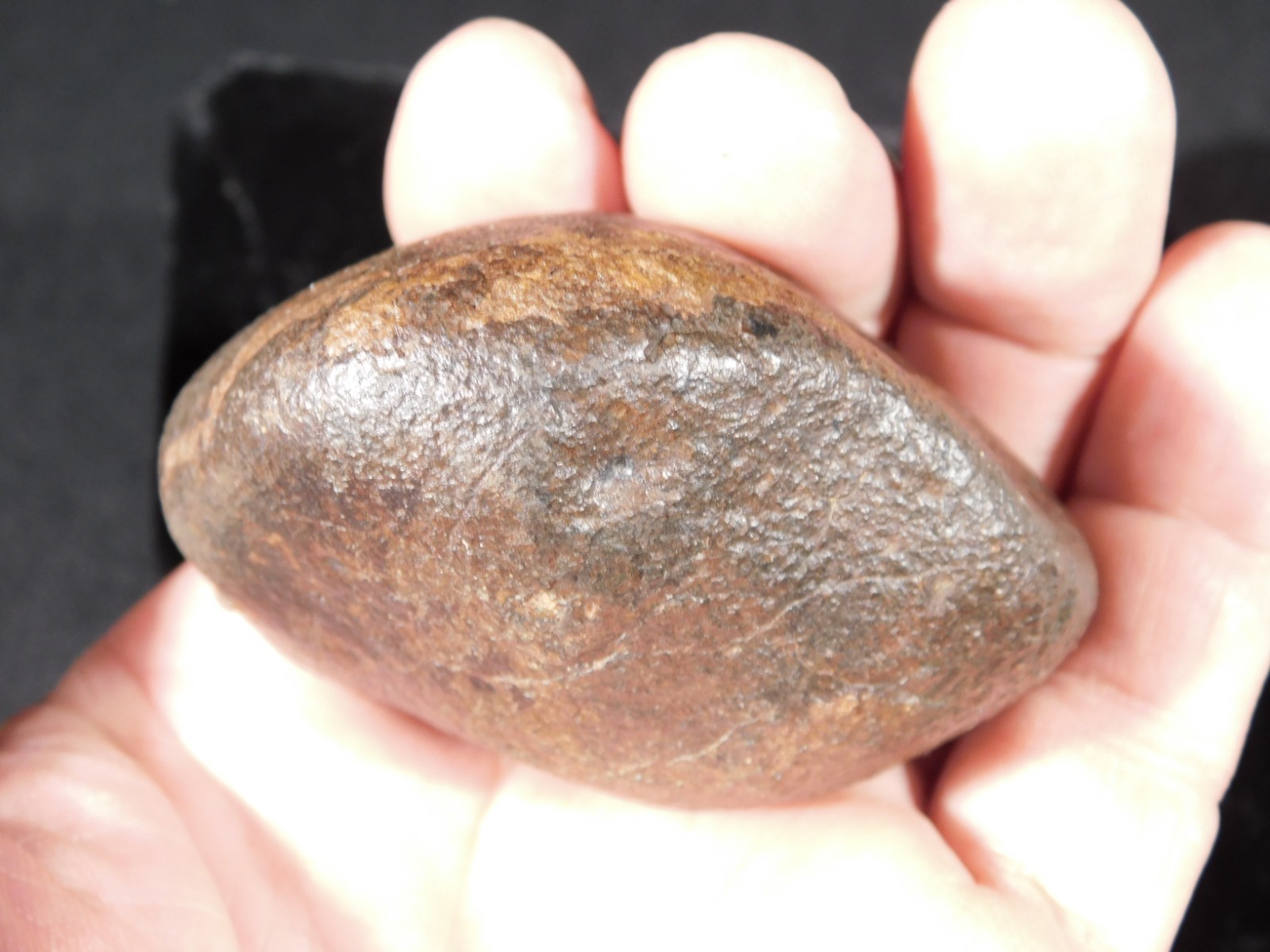 Nice! and 100% Natural Stony METEORITE FELL in Libya 181gr