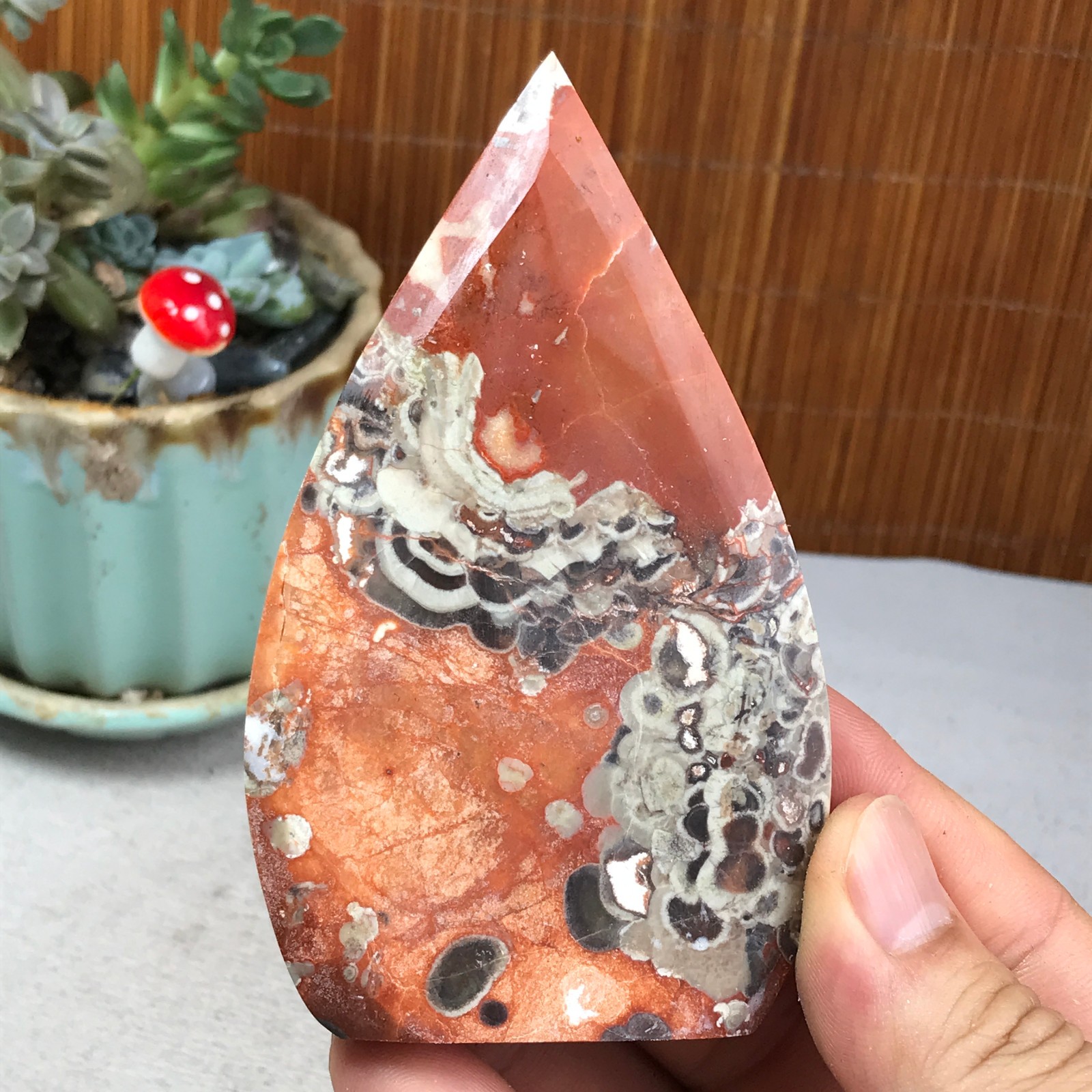 Natural money Mexico agate hand carve leaf Crystal Specimen free standing A6261