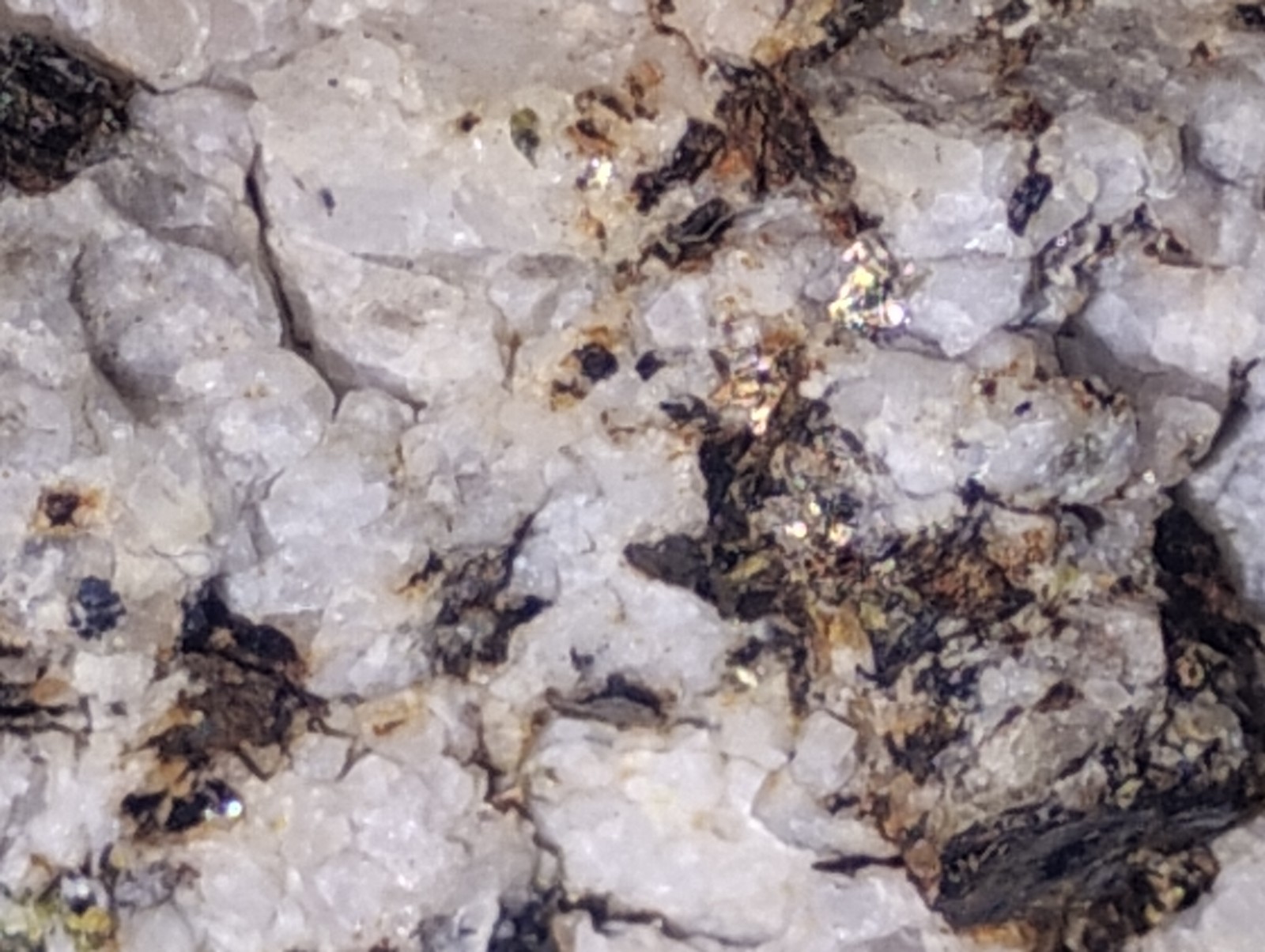 Polymetallic Ore Matrix Quartz, Pyrite & Silver/Black Sulfides – Blue Mountain?
