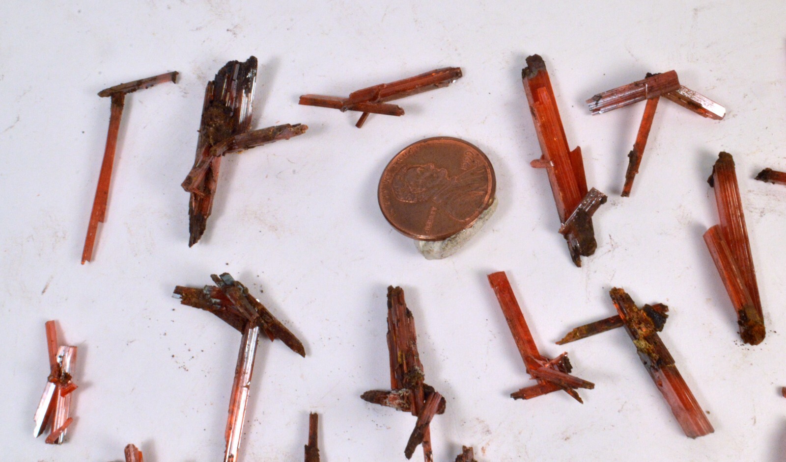 #12,249 Crocoite Clusters – Adelaide Mine, Tasmania, Australia [ONE PIECE ONLY]